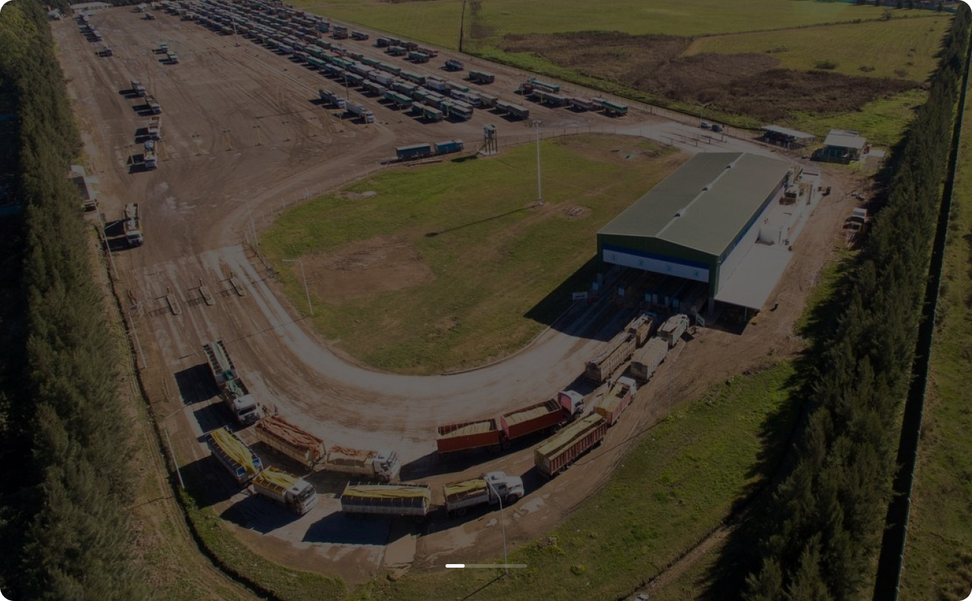 Molinos Agro Facility