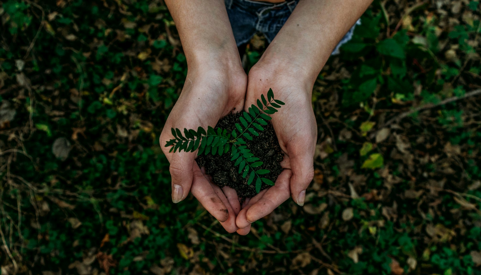 Nueva certificación de sustentabilidad